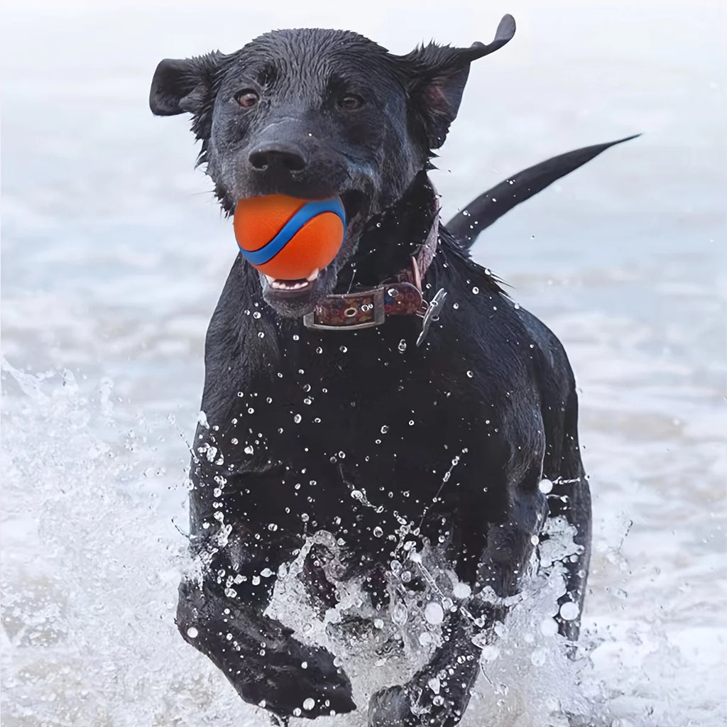 Silicone Dog Chew Ball