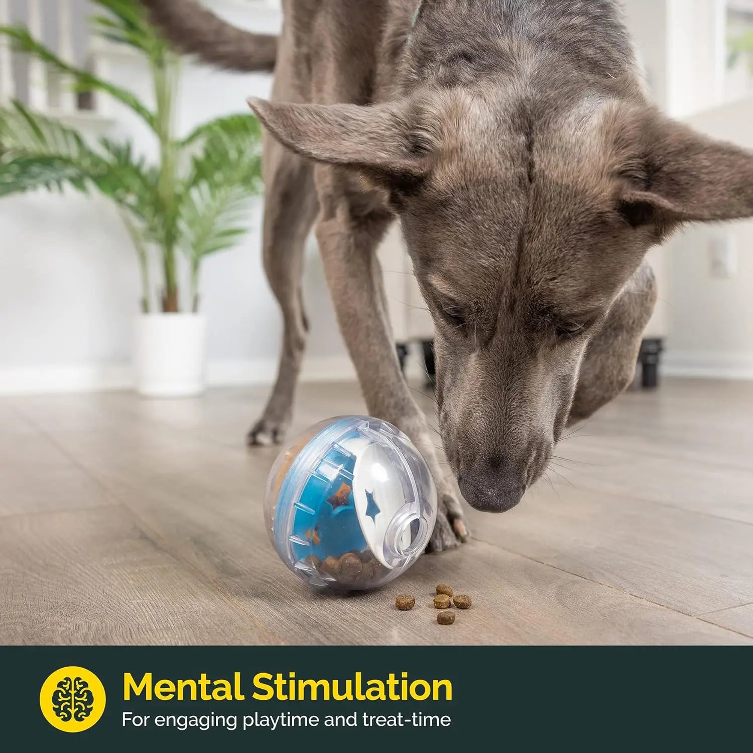 IQ Treat Ball Dispenser