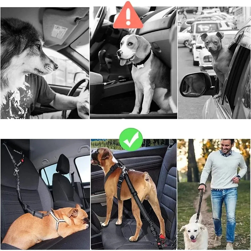 Dog Car Seatbelt Restraint